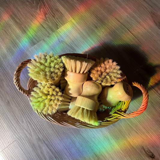 Short Handled Dish Brush