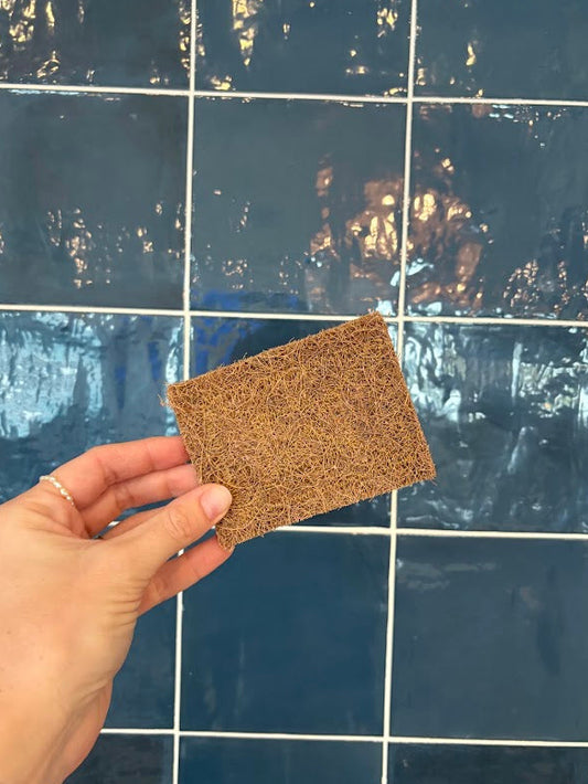 Biodegradable Coconut Kitchen Scourers | 5 Pack, Plastic Free