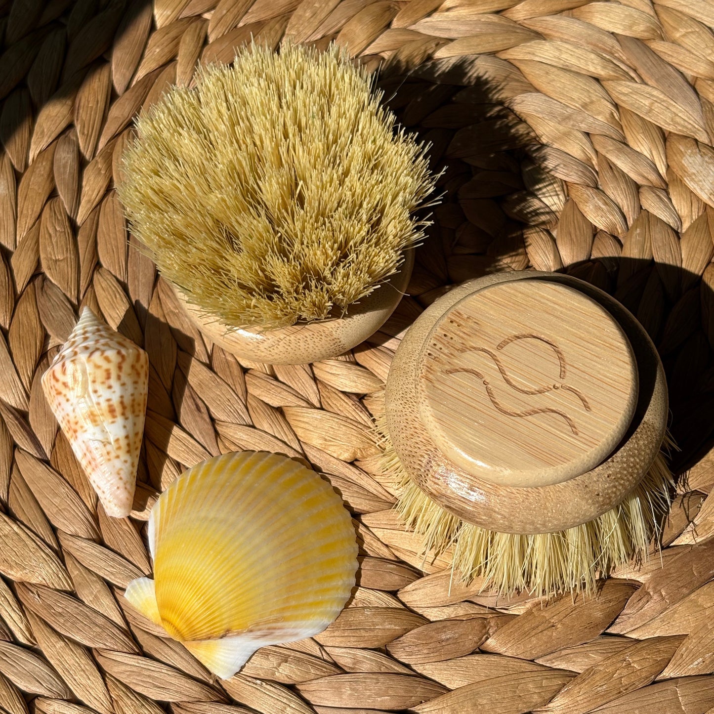 Replaceable Head | Sisal Dish Brush