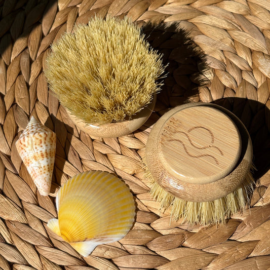 Replaceable Head | Sisal Dish Brush