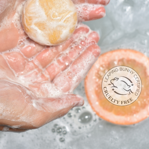 Shampoo Bar | Citrus