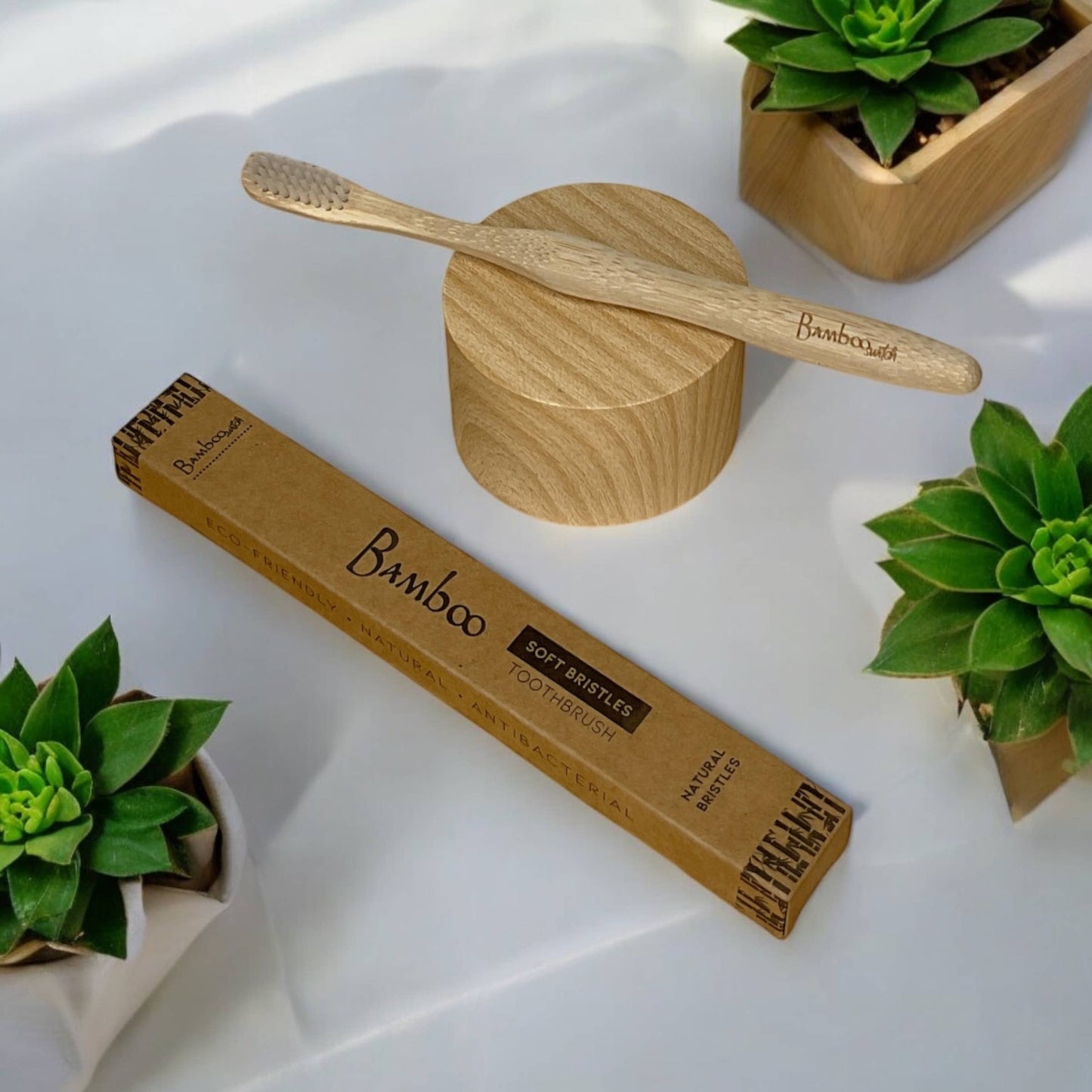 Compostable Bamboo Toothbrush | Adult