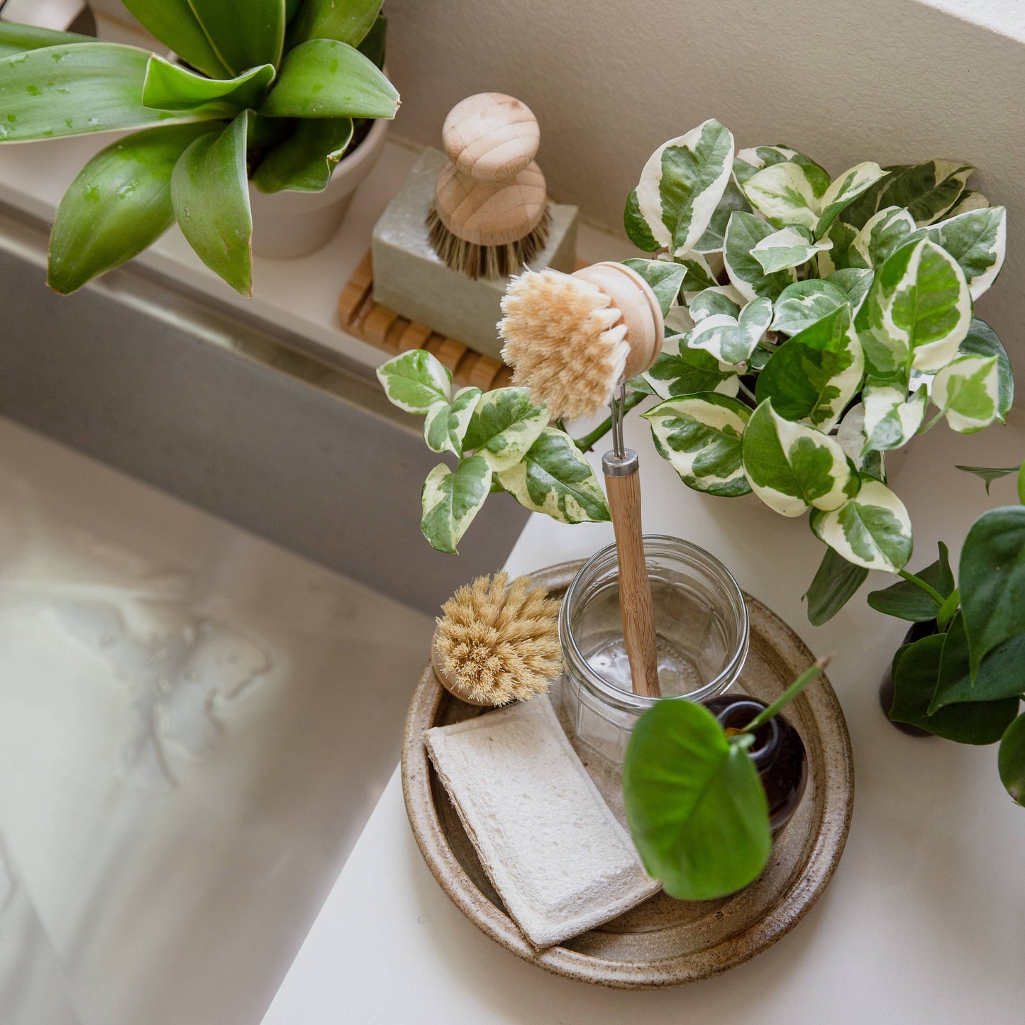 Replaceable Head | Sisal Dish Brush