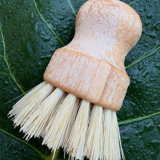 Short Handled Dish Brush