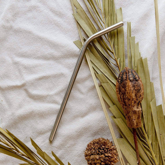 Stainless Steel Straw- Straight