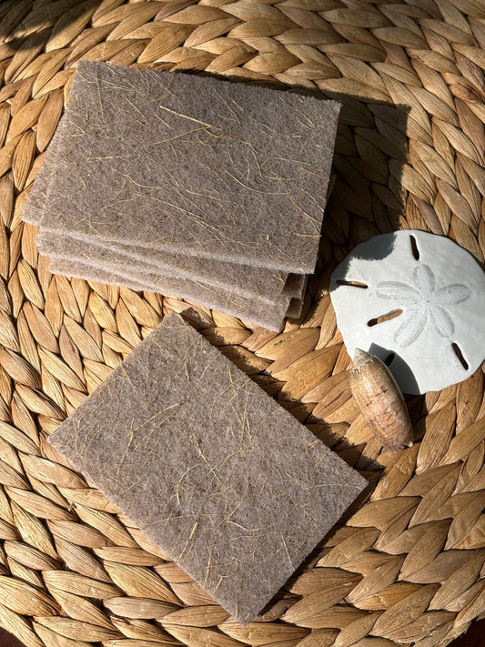 Coconut Scourer | 6 Pack