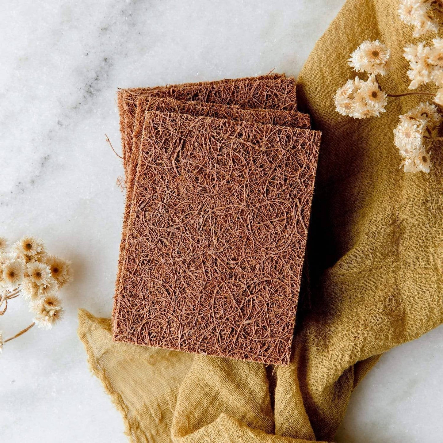 Biodegradable Coconut Kitchen Scourers | 5 Pack, Plastic Free