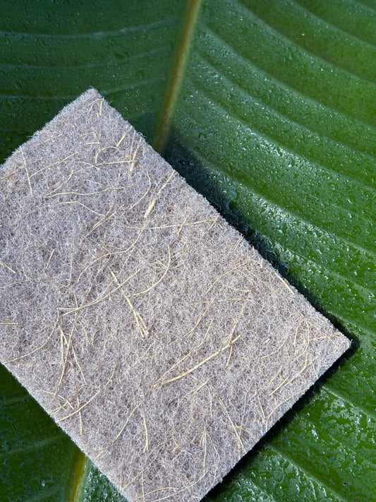 Coconut Scourer | 6 Pack