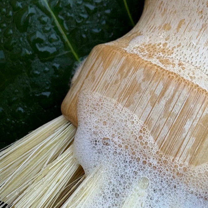Short Handled Dish Brush