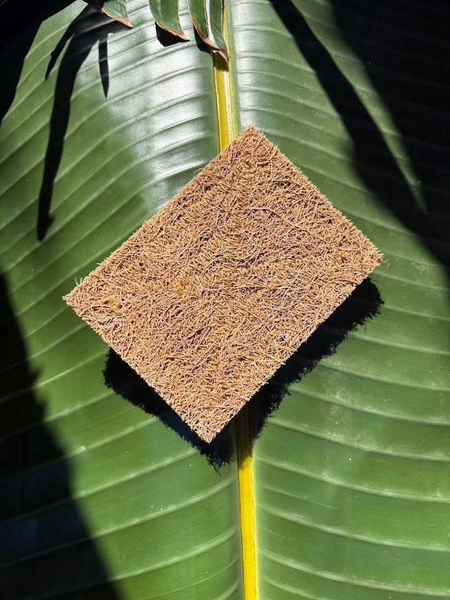 Biodegradable Coconut Kitchen Scourers | 5 Pack, Plastic Free