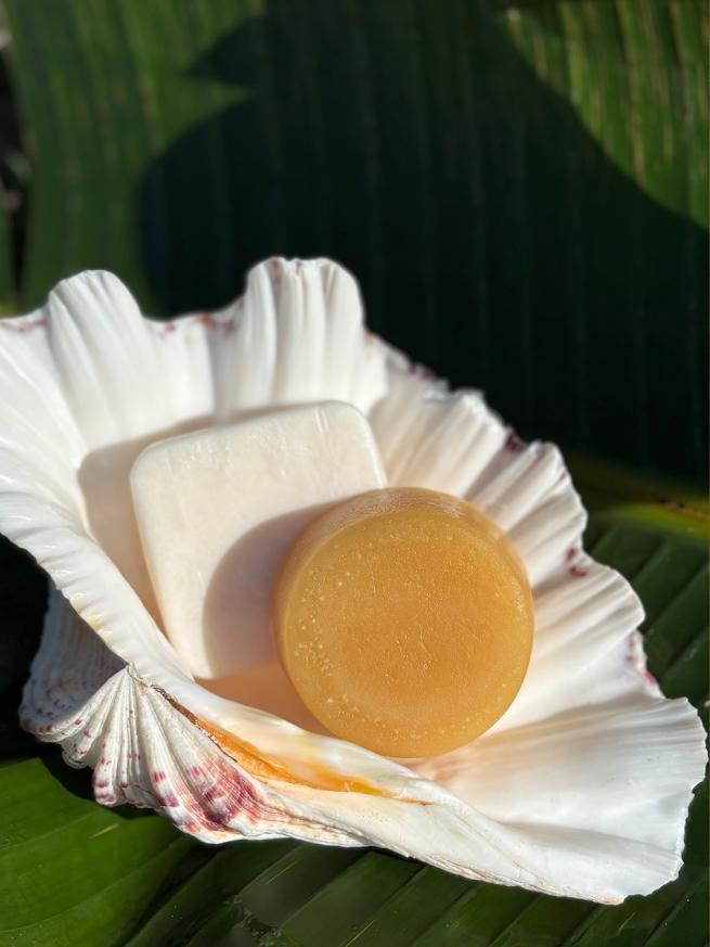 Mini After Sun & Swim Conditioner Bars | Dip