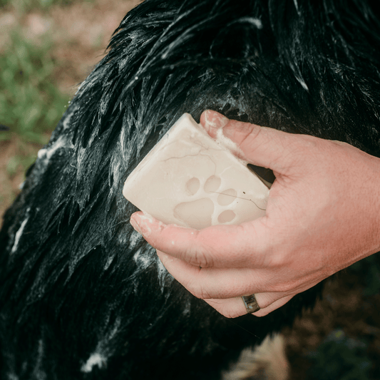 Pet Shampoo Bar