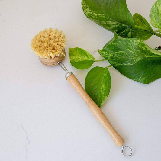 Long Handle Dish Brush | Replaceable Head